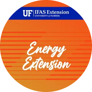 thumbnail for publication: Energy Extension